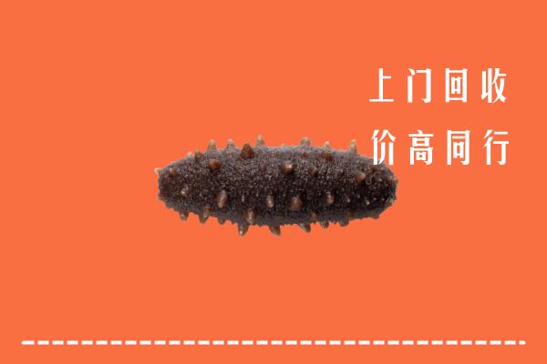 抚顺市回收海参